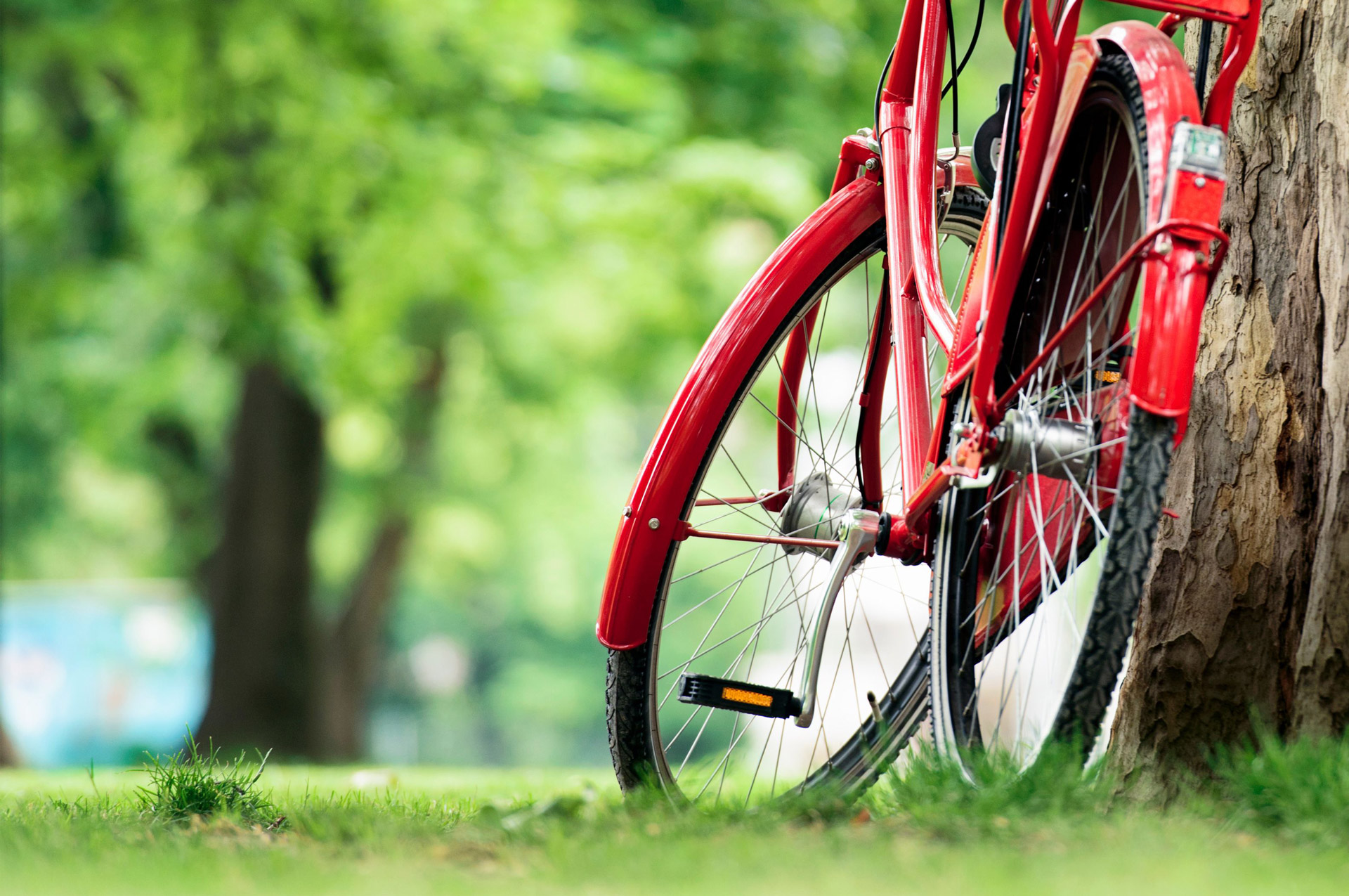 Versicherung für Fahrrad und EBike Baensch